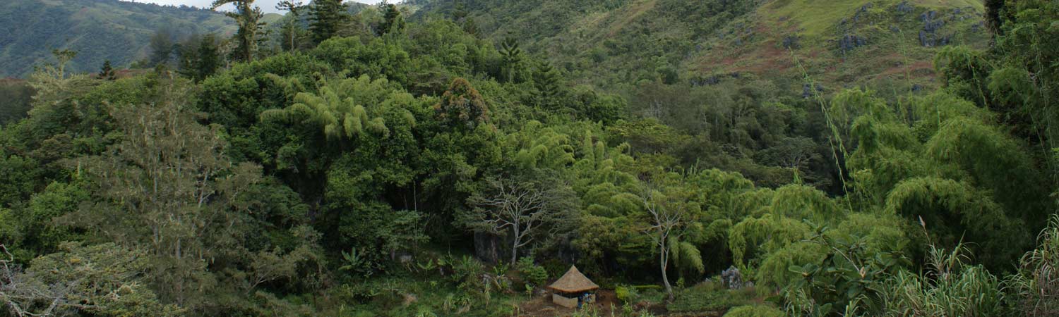 Papua Nowa Gwinea Wakacje Treking